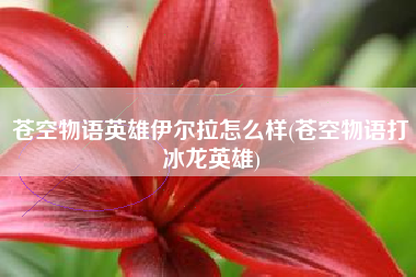 苍空物语英雄伊尔拉怎么样(苍空物语打冰龙英雄)