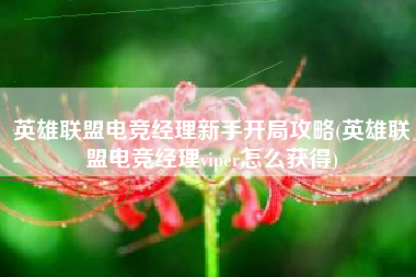 英雄联盟电竞经理新手开局攻略(英雄联盟电竞经理viper怎么获得)