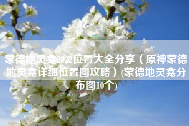 蒙德地灵龛2022位置大全分享（原神蒙德地灵龛详细位置图攻略）(蒙德地灵龛分布图10个)