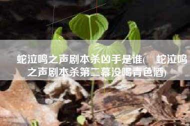 螣蛇泣鸣之声剧本杀凶手是谁(螣蛇泣鸣之声剧本杀第二幕没喝青色酒)