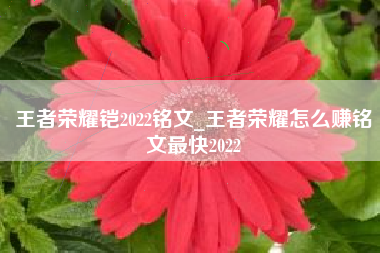 王者荣耀铠2022铭文_王者荣耀怎么赚铭文最快2022