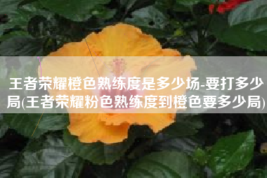 王者荣耀橙色熟练度是多少场-要打多少局(王者荣耀粉色熟练度到橙色要多少局)