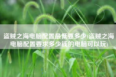 盗贼之海电脑配置最低要多少(盗贼之海电脑配置要求多少钱的电脑可以玩)