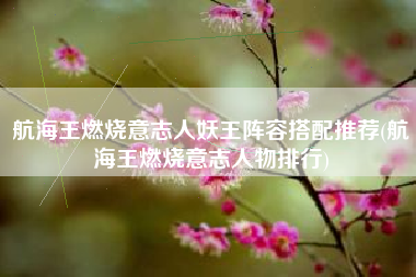 航海王燃烧意志人妖王阵容搭配推荐(航海王燃烧意志人物排行)