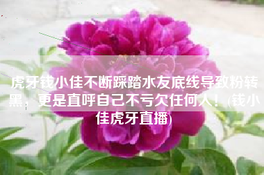 虎牙钱小佳不断踩踏水友底线导致粉转黑，更是直呼自己不亏欠任何人！(钱小佳虎牙直播)