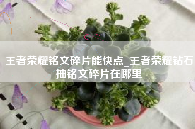 王者荣耀铭文碎片能快点_王者荣耀钻石抽铭文碎片在哪里