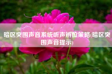 暗区突围声音系统听声辨位策略(暗区突围声音提示)