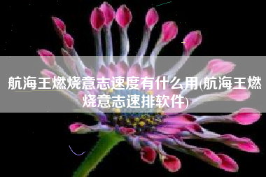 航海王燃烧意志速度有什么用(航海王燃烧意志速排软件)