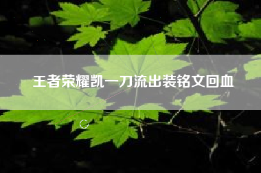 王者荣耀凯一刀流出装铭文回血