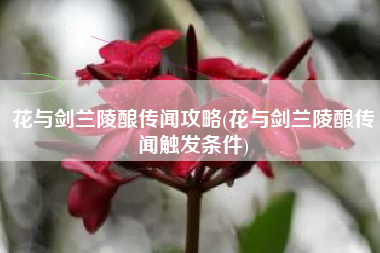 花与剑兰陵酿传闻攻略(花与剑兰陵酿传闻触发条件)