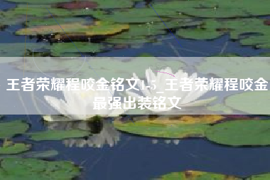 王者荣耀程咬金铭文1-5_王者荣耀程咬金最强出装铭文