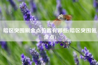 暗区突围刷金点位置有哪些(暗区突围氪金点)