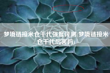 梦境链接米仓千代强度评测(梦境链接米仓千代厉害吗)