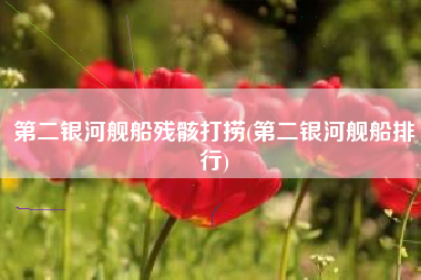 第二银河舰船残骸打捞(第二银河舰船排行)