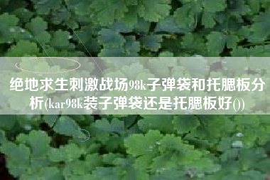 绝地求生刺激战场98k子弹袋和托腮板分析(kar98k装子弹袋还是托腮板好())