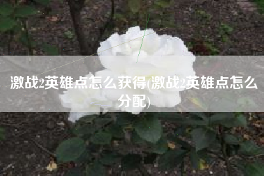 激战2英雄点怎么获得(激战2英雄点怎么分配)