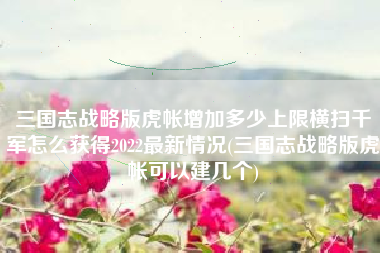 三国志战略版虎帐增加多少上限横扫千军怎么获得2022最新情况(三国志战略版虎帐可以建几个)