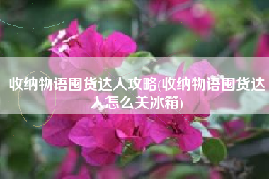 收纳物语囤货达人攻略(收纳物语囤货达人怎么关冰箱)