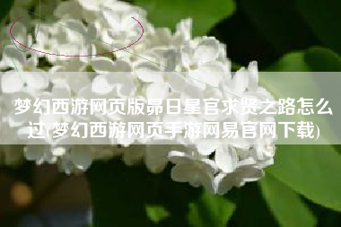 梦幻西游网页版昴日星官求贤之路怎么过(梦幻西游网页手游网易官网下载)