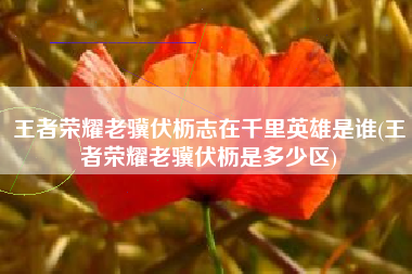 王者荣耀老骥伏枥志在千里英雄是谁(王者荣耀老骥伏枥是多少区)