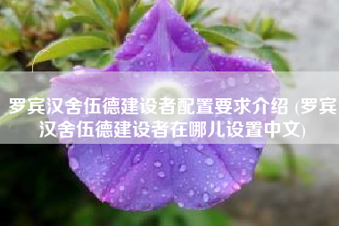 罗宾汉舍伍德建设者配置要求介绍 (罗宾汉舍伍德建设者在哪儿设置中文)