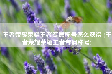 王者荣耀荣耀王者专属称号怎么获得 (王者荣耀荣耀王者专属称号)