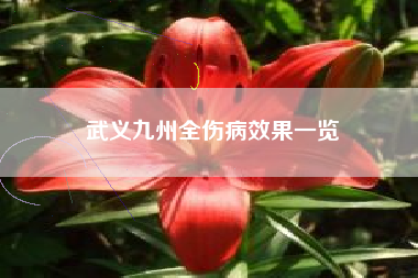 武义九州全伤病效果一览