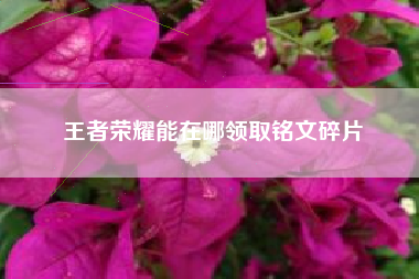 王者荣耀能在哪领取铭文碎片