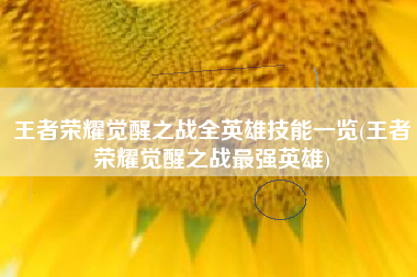 王者荣耀觉醒之战全英雄技能一览(王者荣耀觉醒之战最强英雄)