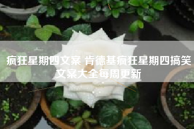 疯狂星期四文案 肯德基疯狂星期四搞笑文案大全每周更新
