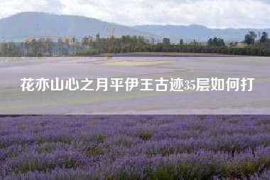 花亦山心之月平伊王古迹35层如何打