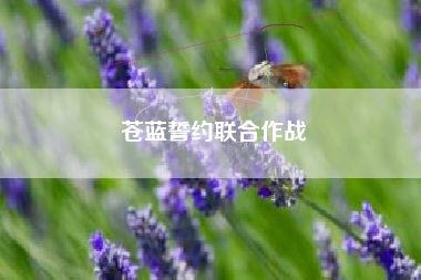 苍蓝誓约联合作战