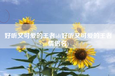 好听又可爱的王者id(好听又可爱的王者情侣名)