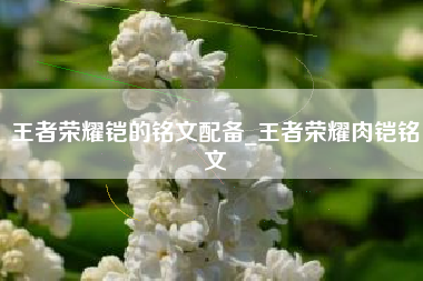王者荣耀铠的铭文配备_王者荣耀肉铠铭文