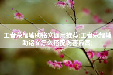 王者荣耀辅助铭文通用推荐(王者荣耀辅助铭文怎么搭配伤害最高)