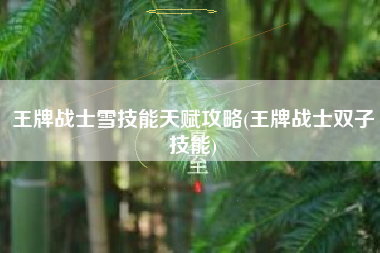 王牌战士雪技能天赋攻略(王牌战士双子技能)