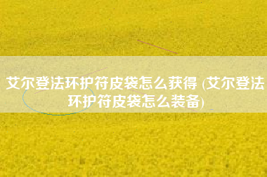 艾尔登法环护符皮袋怎么获得 (艾尔登法环护符皮袋怎么装备)