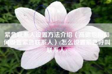 紧急联系人设置方法介绍（高德地图如何设置紧急联系人）(怎么设置紧急呼叫联系人)