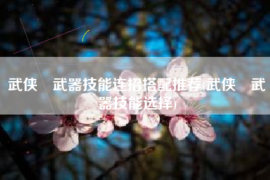 武侠乂武器技能连招搭配推荐(武侠乂武器技能选择)