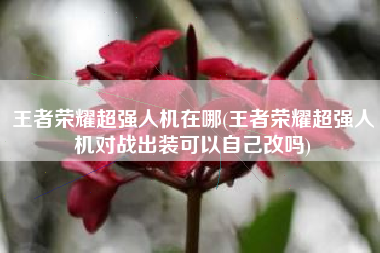 王者荣耀超强人机在哪(王者荣耀超强人机对战出装可以自己改吗)