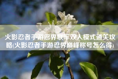 火影忍者手游忍界联军双人模式通关攻略(火影忍者手游忍界巅峰称号怎么得)