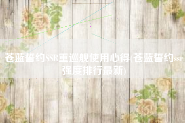 苍蓝誓约SSR重巡舰使用心得(苍蓝誓约ssr强度排行最新)