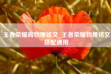 王者荣耀高物理铭文_王者荣耀物理铭文搭配通用