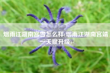烟雨江湖南宫雪怎么样(烟雨江湖南宫靖一天赋升级)