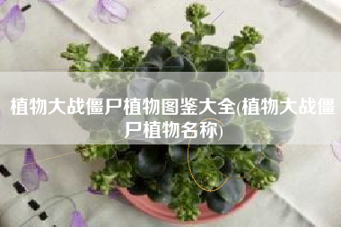 植物大战僵尸植物图鉴大全(植物大战僵尸植物名称)