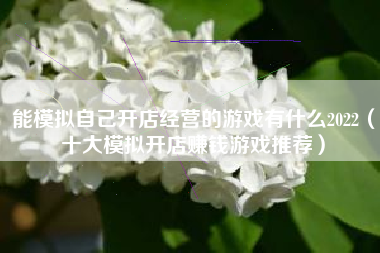 能模拟自己开店经营的游戏有什么2022（十大模拟开店赚钱游戏推荐）