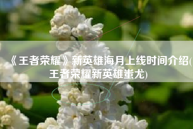 《王者荣耀》新英雄海月上线时间介绍(王者荣耀新英雄蚩尤)