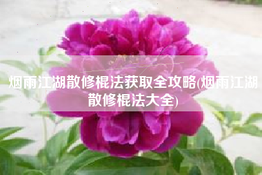 烟雨江湖散修棍法获取全攻略(烟雨江湖散修棍法大全)