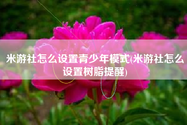 米游社怎么设置青少年模式(米游社怎么设置树脂提醒)