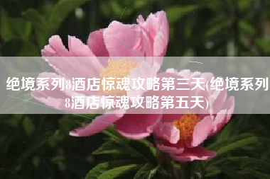 绝境系列8酒店惊魂攻略第三天(绝境系列8酒店惊魂攻略第五天)